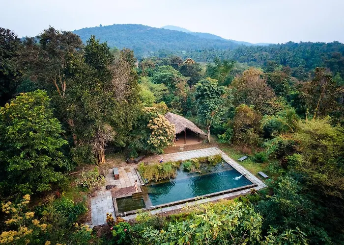 Dudhsagar Plantation