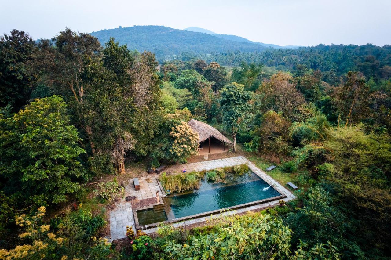 Dudhsagar Plantation Farm stay