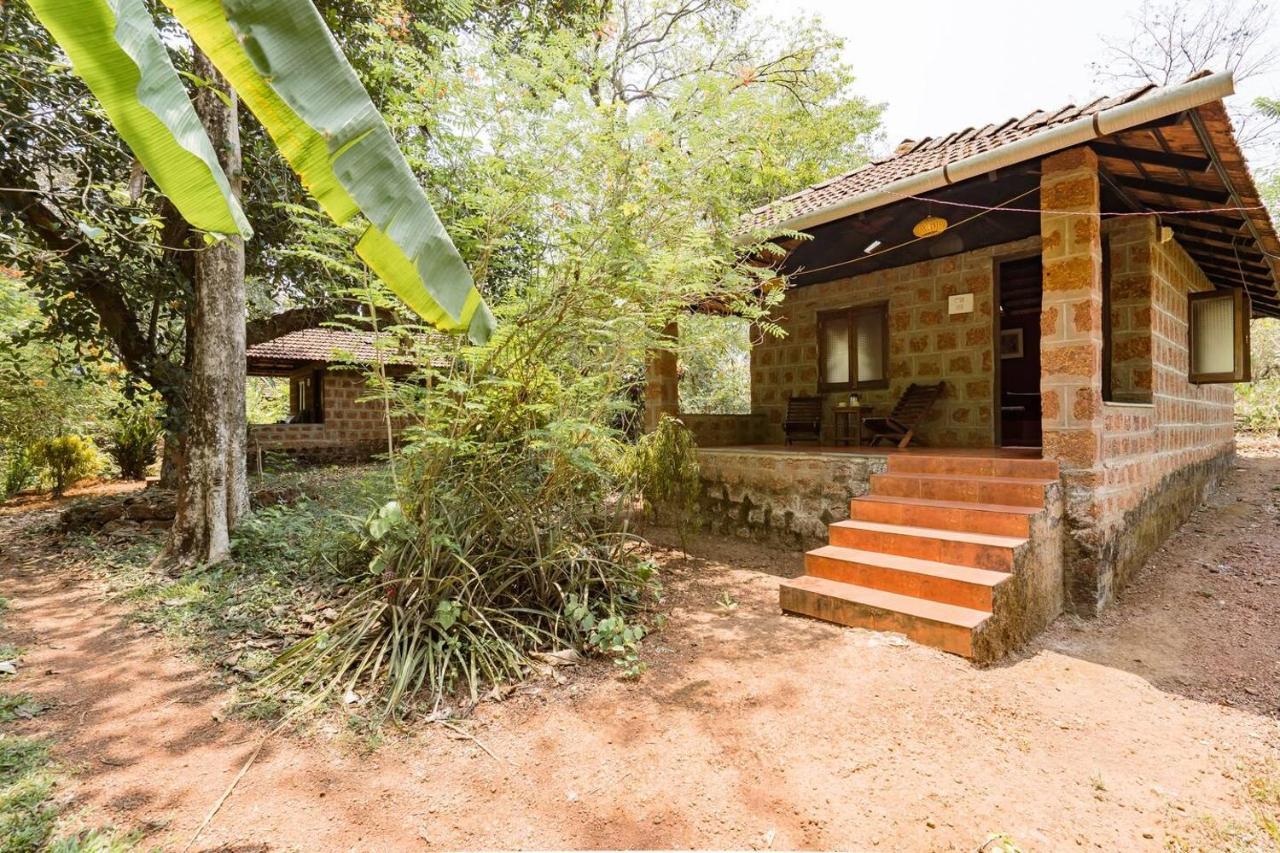 Farm stay Dudhsagar Plantation