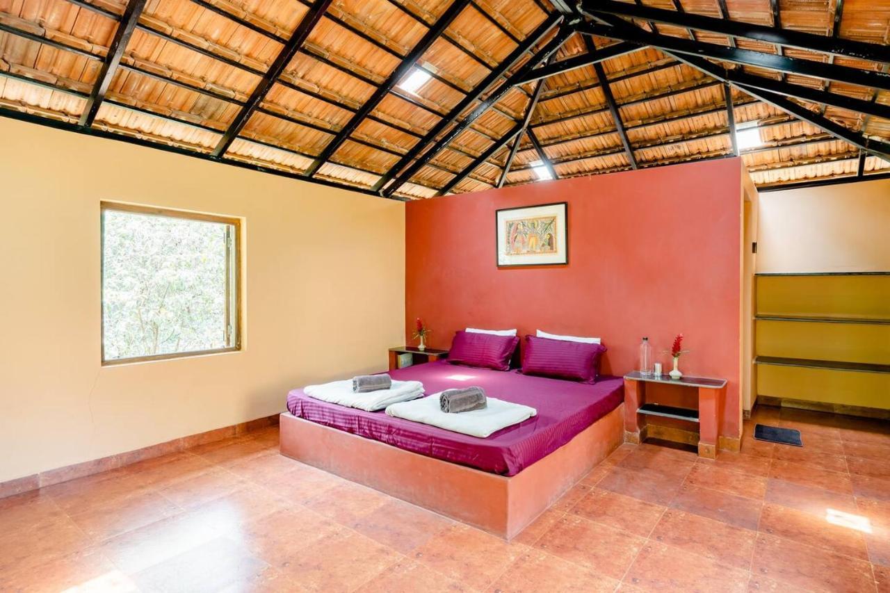Farm stay Dudhsagar Plantation