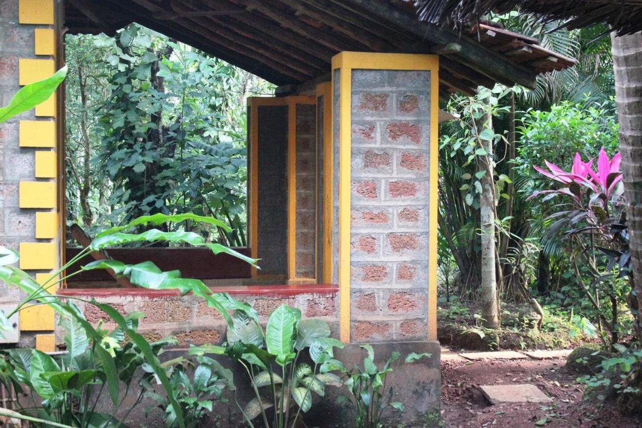 Farm stay Dudhsagar Plantation Cormonem