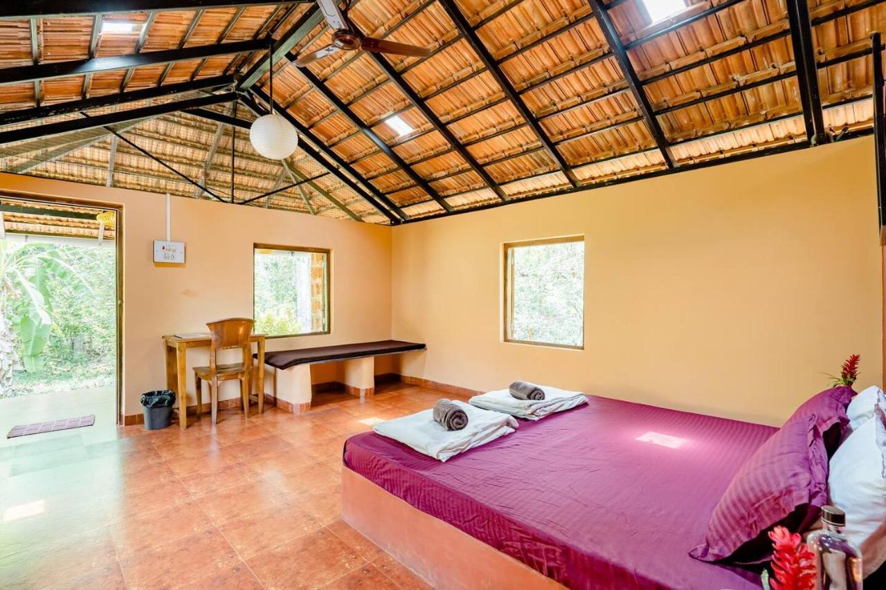 Farm stay Dudhsagar Plantation
