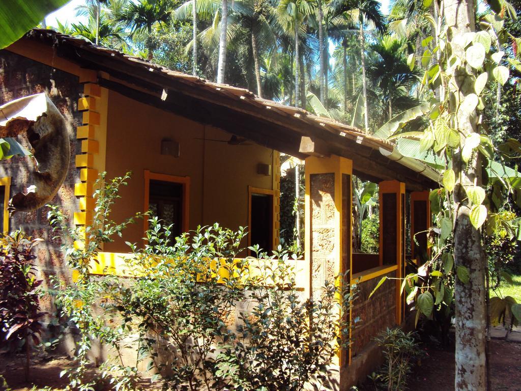 Dudhsagar Plantation Farm stay