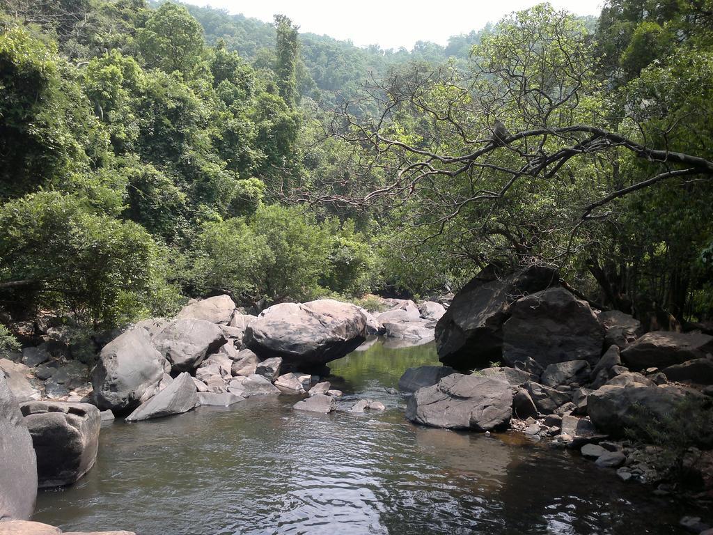 Dudhsagar Plantation