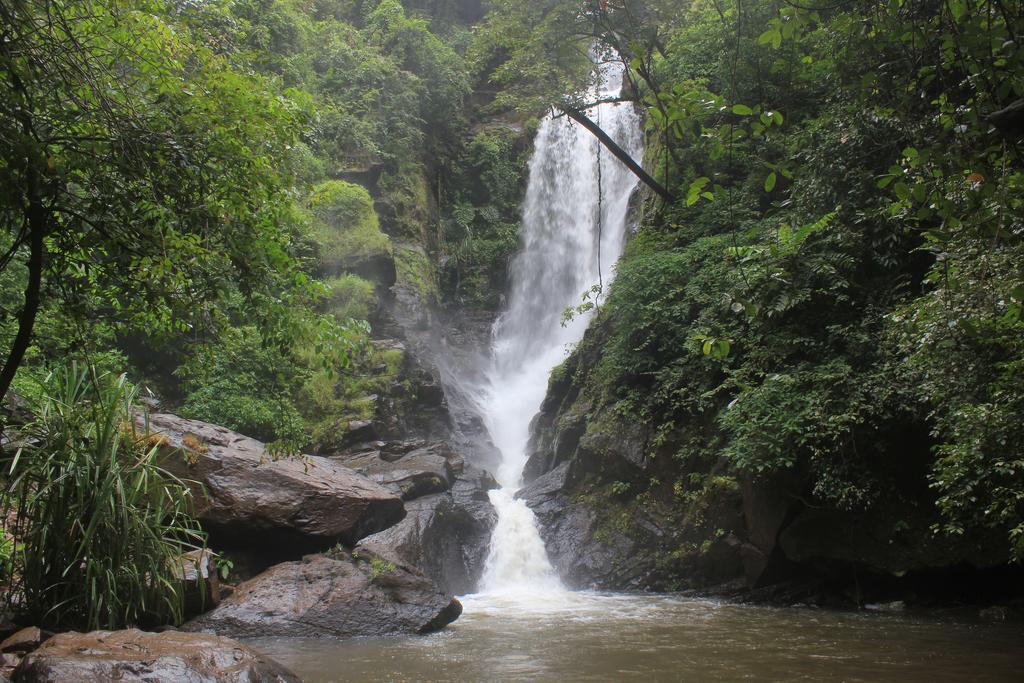 Dudhsagar Plantation Cormonem