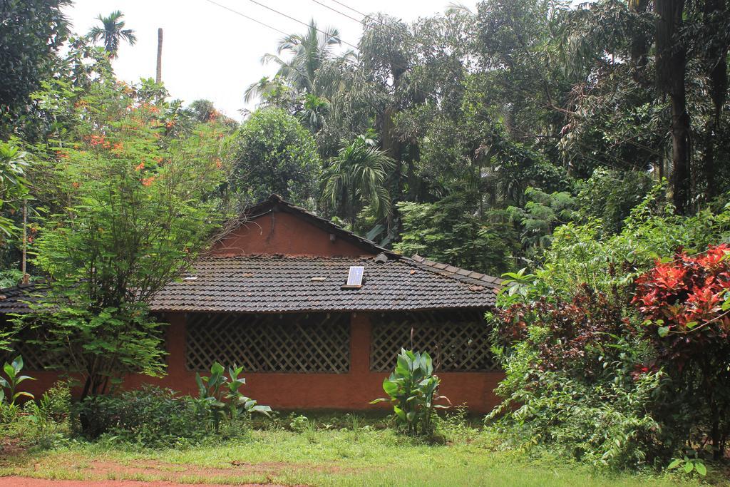 Dudhsagar Plantation Farm stay *