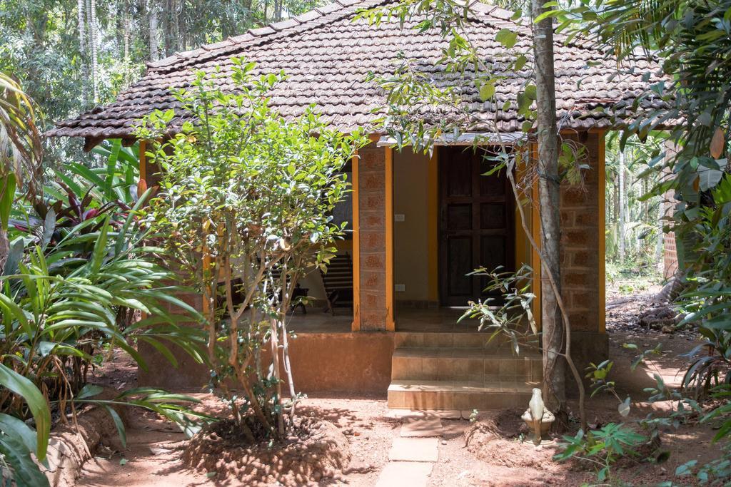 Dudhsagar Plantation Farm stay Cormonem