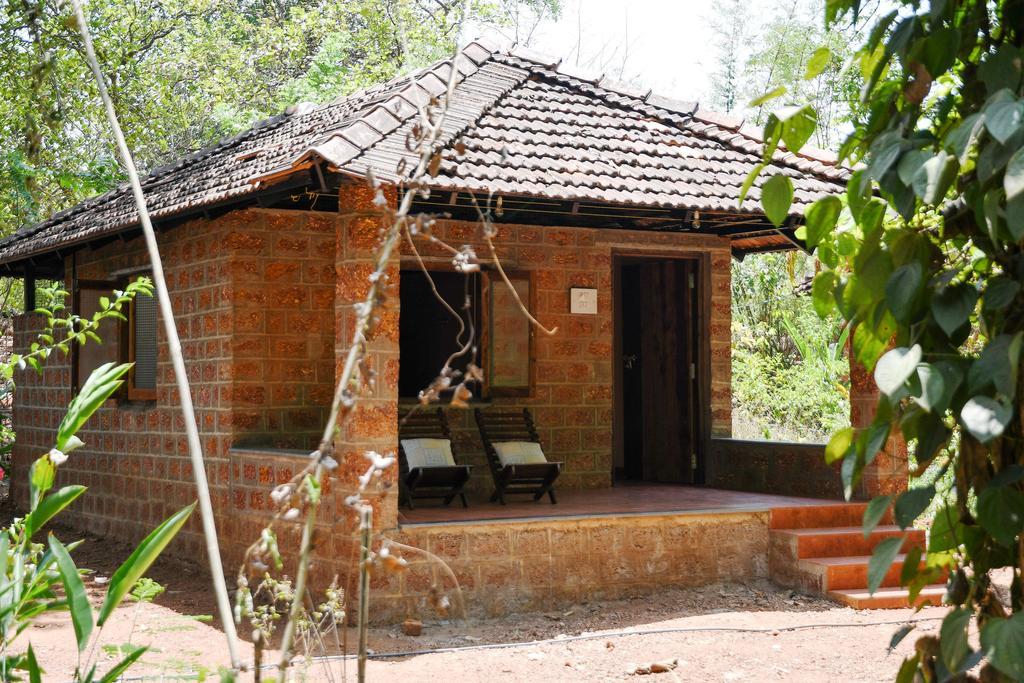 Dudhsagar Plantation Farm stay