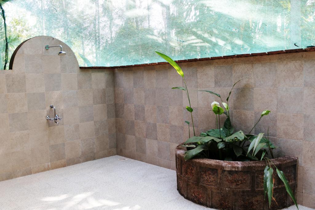 Dudhsagar Plantation Farm stay Cormonem