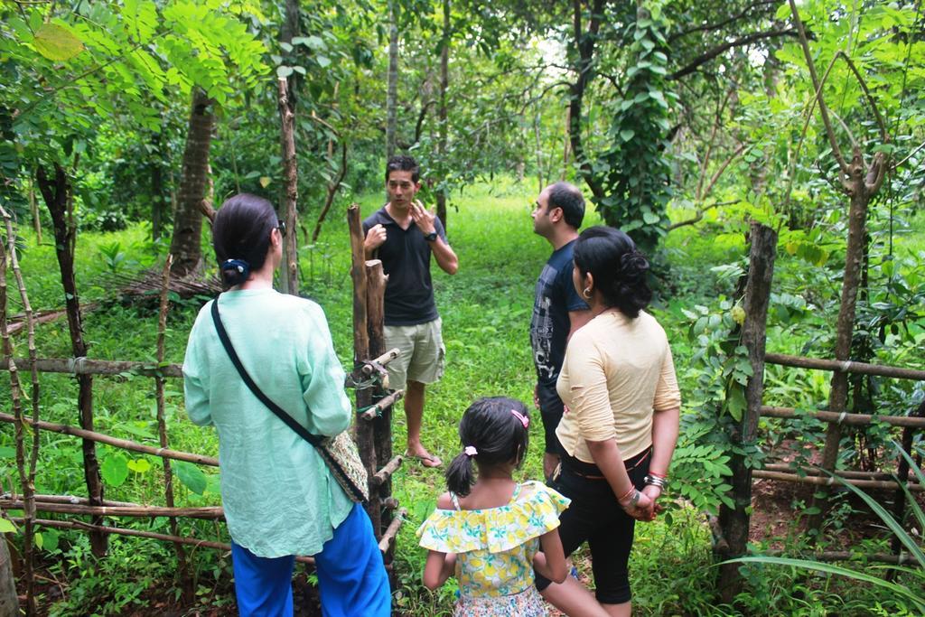 Farm stay Dudhsagar Plantation *