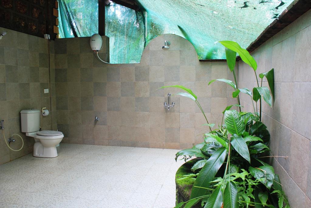 Dudhsagar Plantation Farm stay *