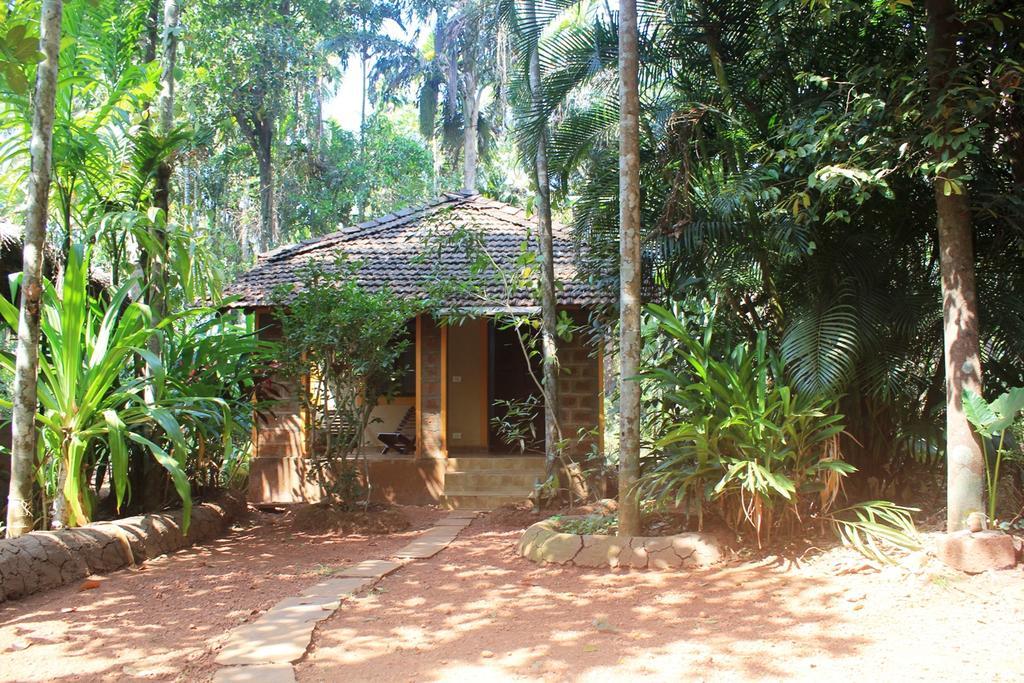 Dudhsagar Plantation