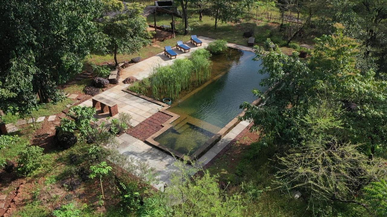 Farm stay Dudhsagar Plantation
