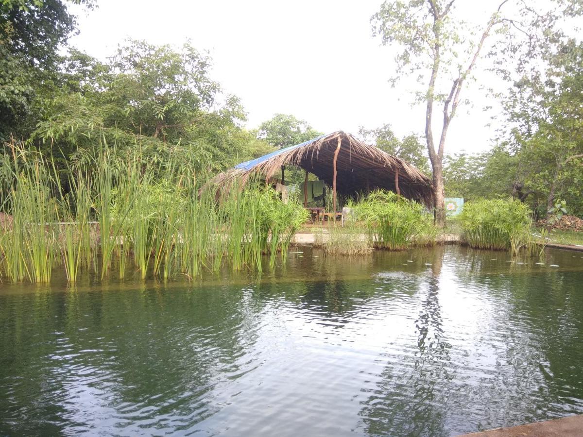 Dudhsagar Plantation Farm stay *