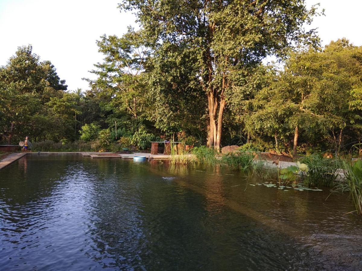 Dudhsagar Plantation Cormonem